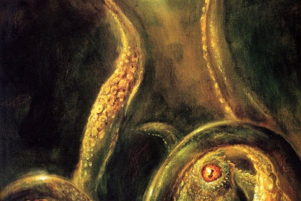 Kraken ссылка kraken014 com